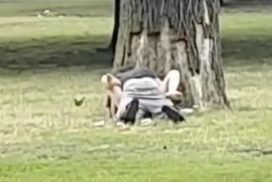 Public Sex in Berlin: Paar treibt es in der Hasenheide 63 Public Sex in Berlin: Paar treibt es in der Hasenheide