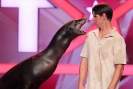 „Das Supertalent“: Diese Talente schickt die Jury ins Finale