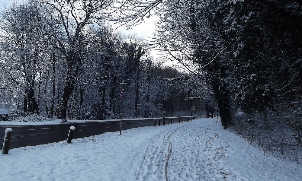NEWS NE 10 Winter BILD kukksi
