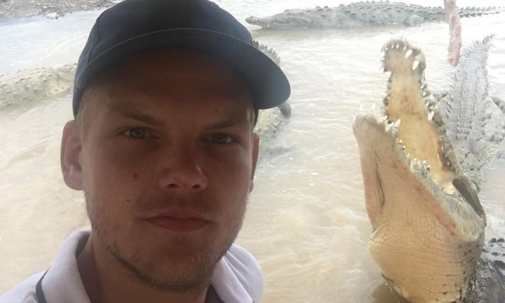 STARS 250 Avicii BILD Facebook