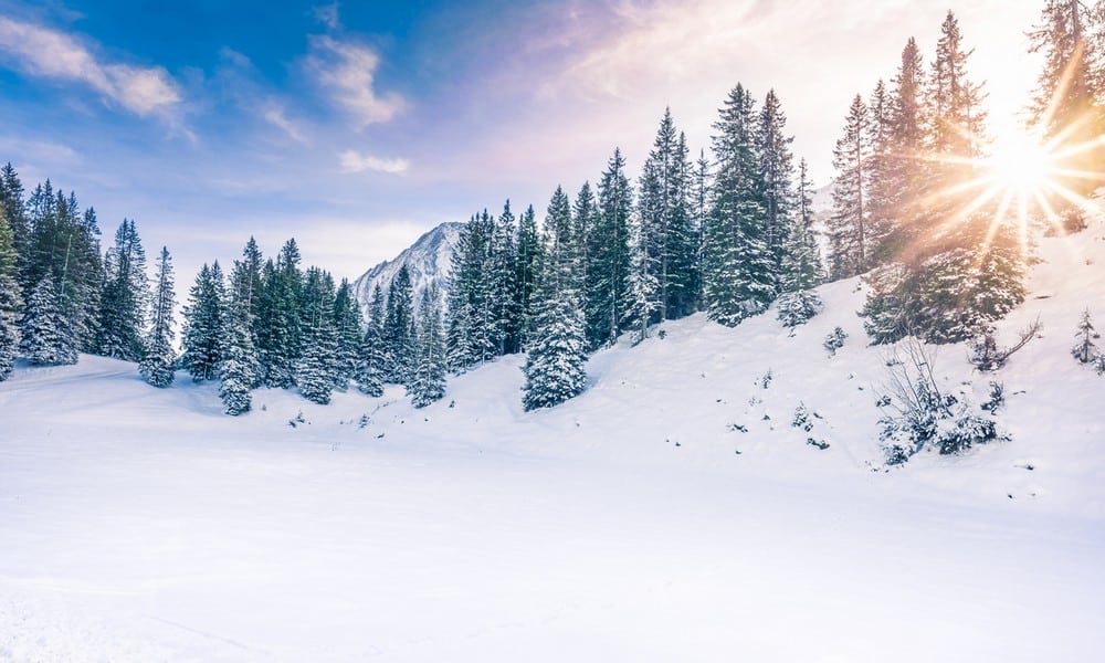 Schnee