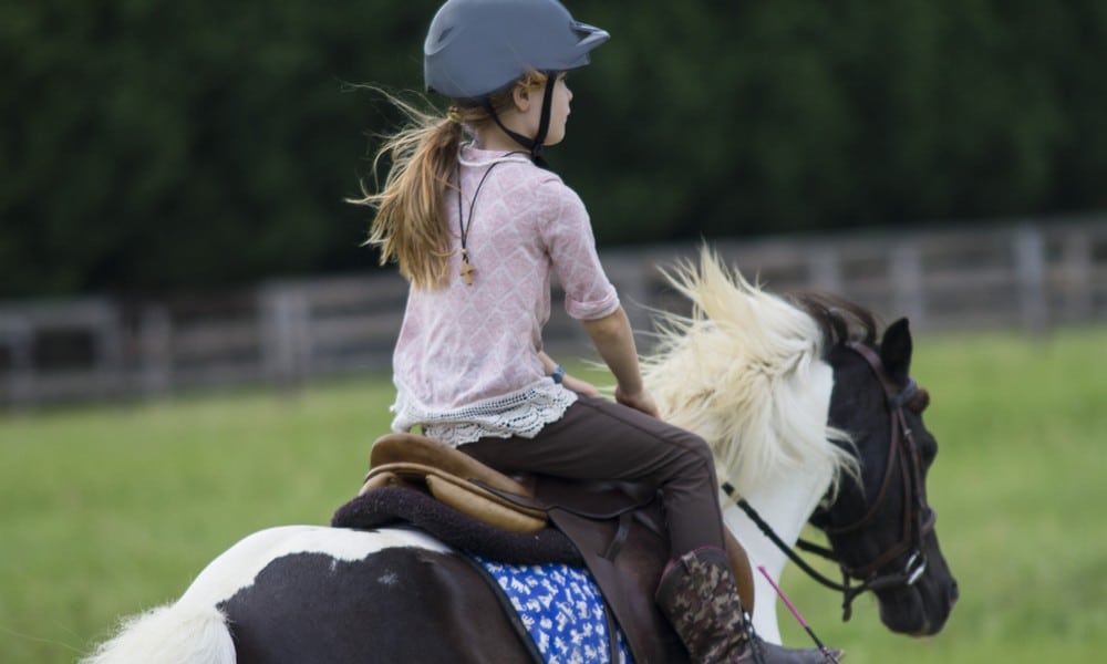 St 118 Pony BILD iStock