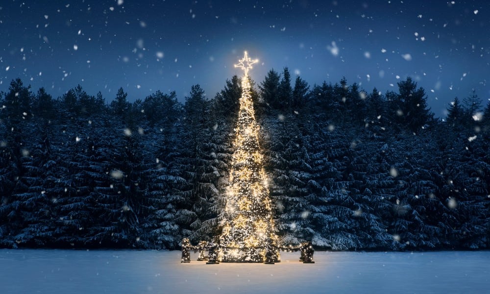St 138 Winter BILD iStock