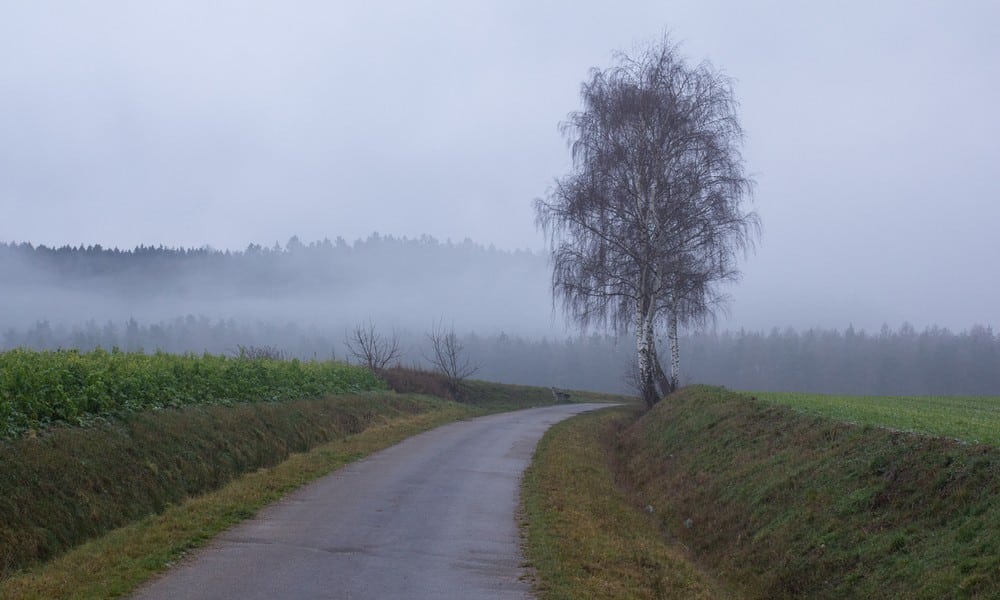 St 231 Nebel BILD iStock