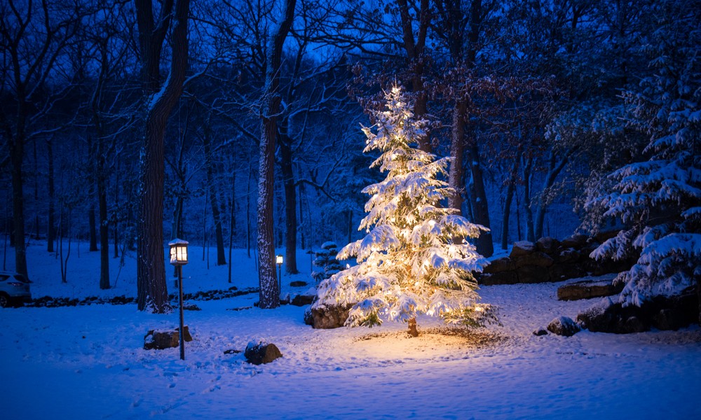St 483 Weihnachten Schnee BILD iStock