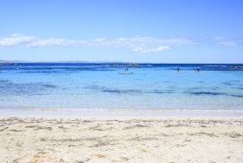Wegen zu viel Sex: Touristen zerstören Traumstrand! 64 Wegen zu viel Sex: Touristen zerstören Traumstrand!