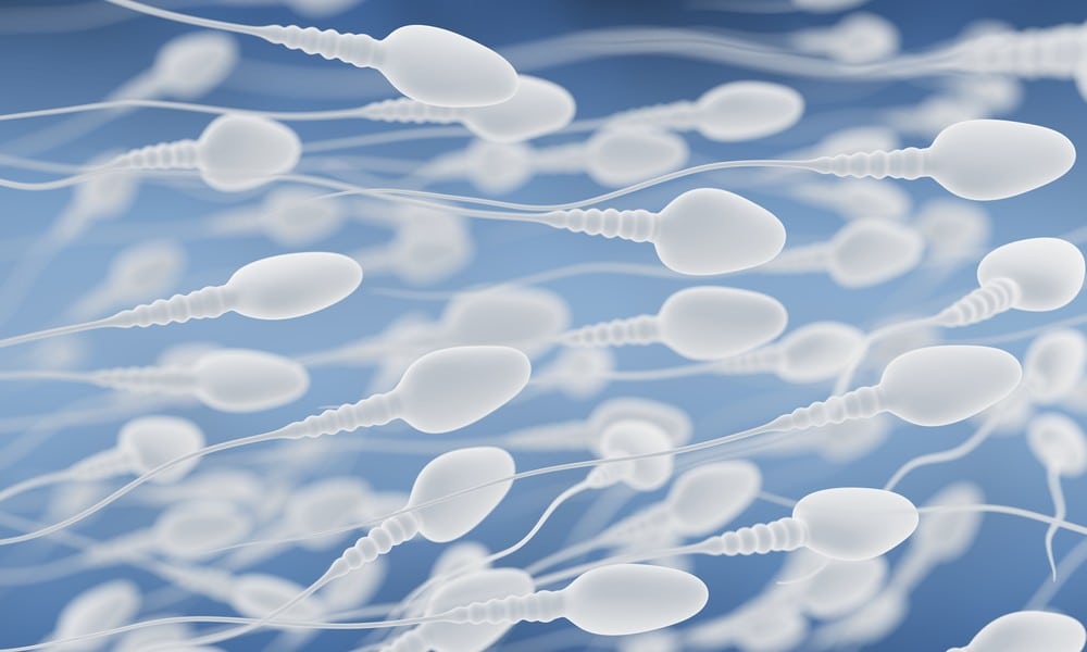 St 67 Sperma BILD iStock