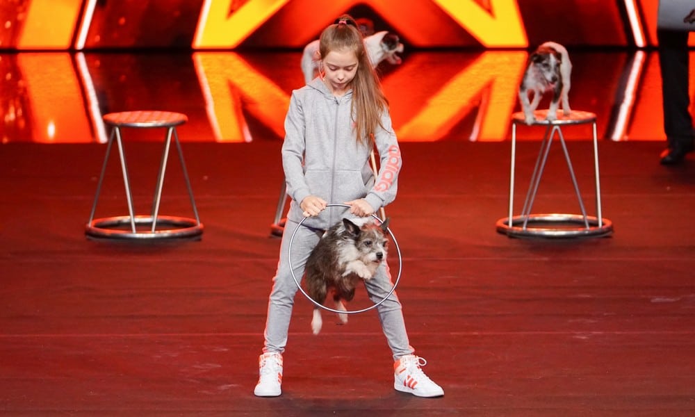 Supertalent 2017: Schummel-Skandal nach Sieg mit Hunde-Show! 61 Supertalent 2017 25 Alexa Laufenberger BILD MG RTL D Stefan Gregorowius