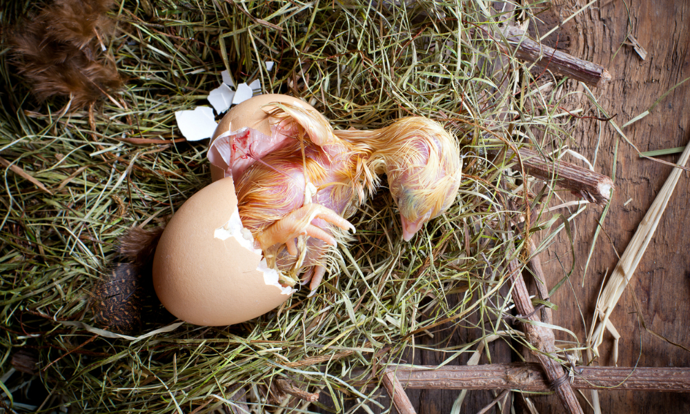 iStock 139478774
