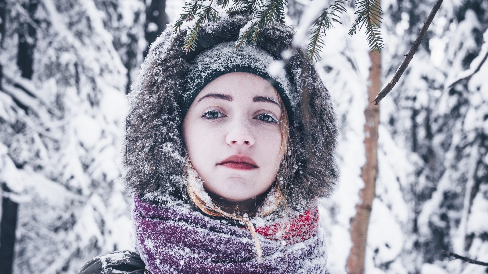 Winter