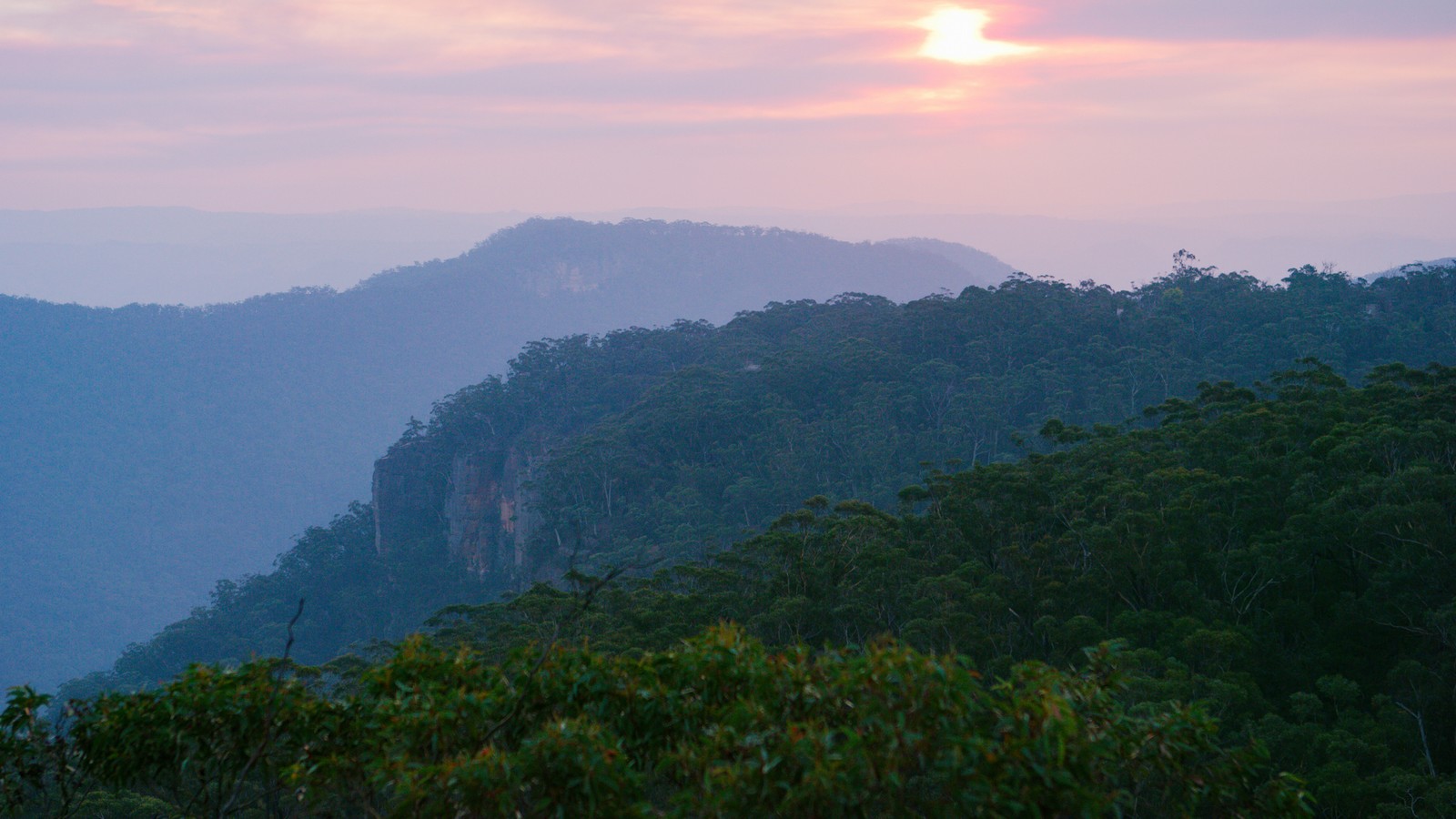 Dschungelshow 2021: Hier ist der Drehort! 72 Urwald in Australien