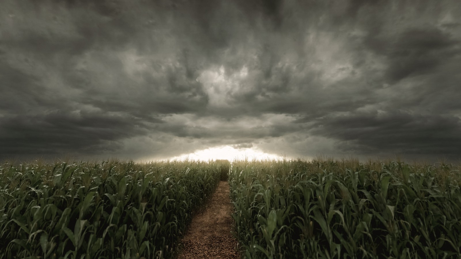 Sturm