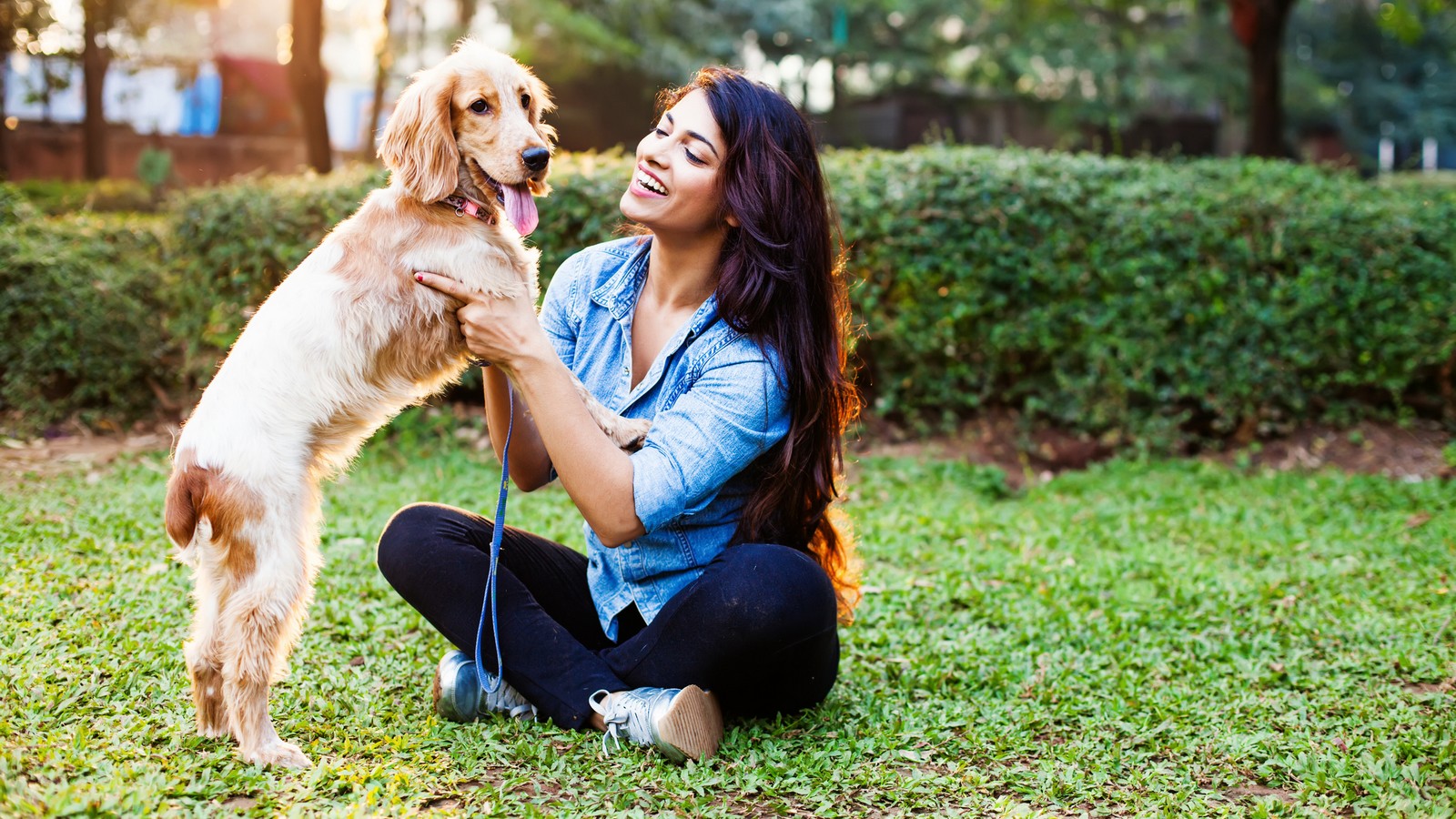 Hund erziehen: Diese Methode schadet deinem Tier! 72 Hund