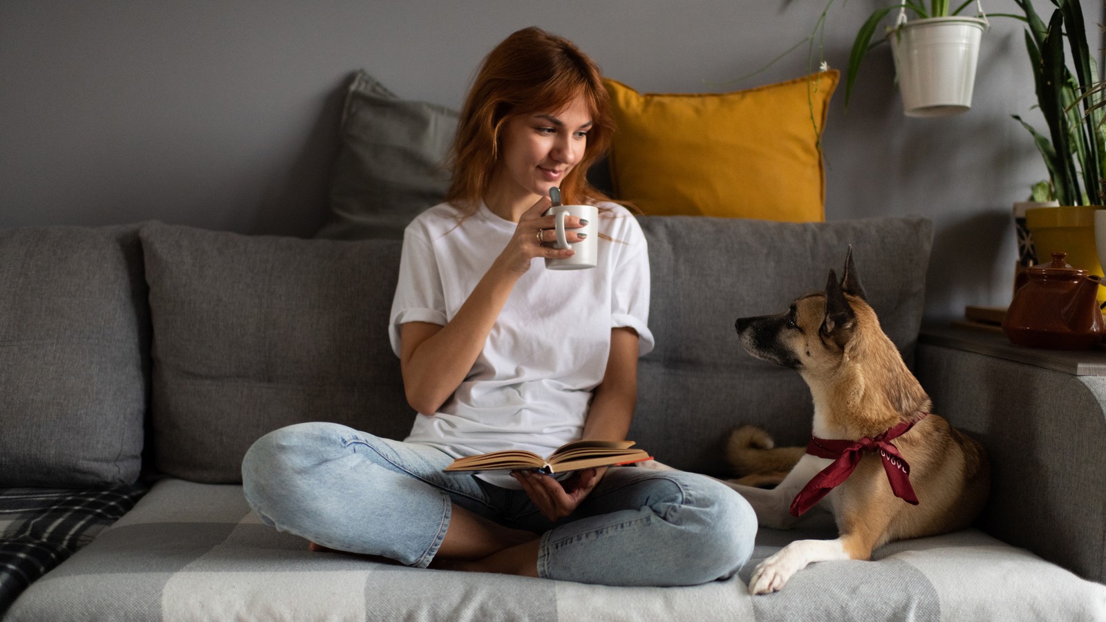 Diese Eigenschaften übernimmt dein Hund von dir! 72 Hund