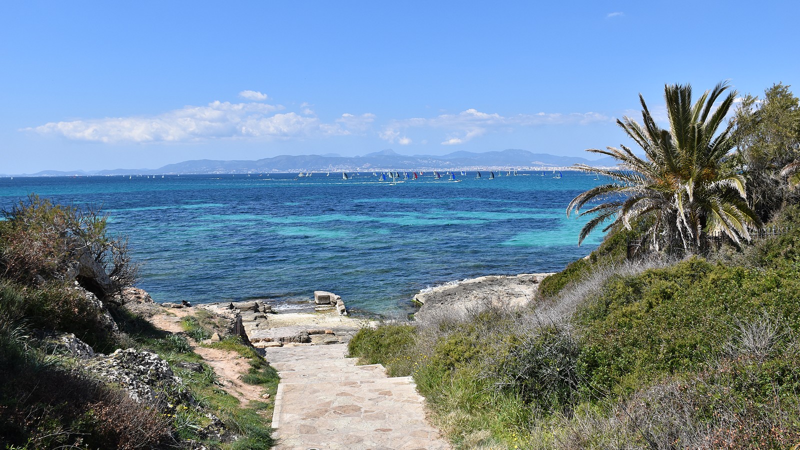 Wann ist wieder Urlaub auf Mallorca möglich? 73 Mallorca