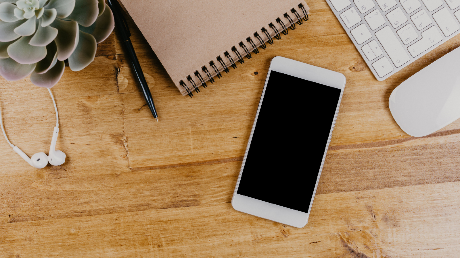 Reinigen des Smartphones
