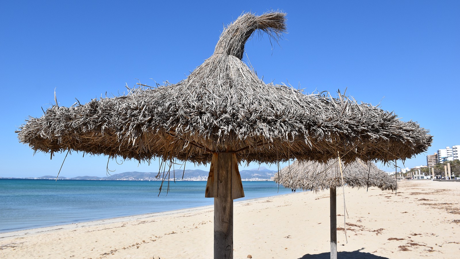 Diese Corona-Regeln gelten jetzt auf Mallorca! 74 Strand auf Mallorca