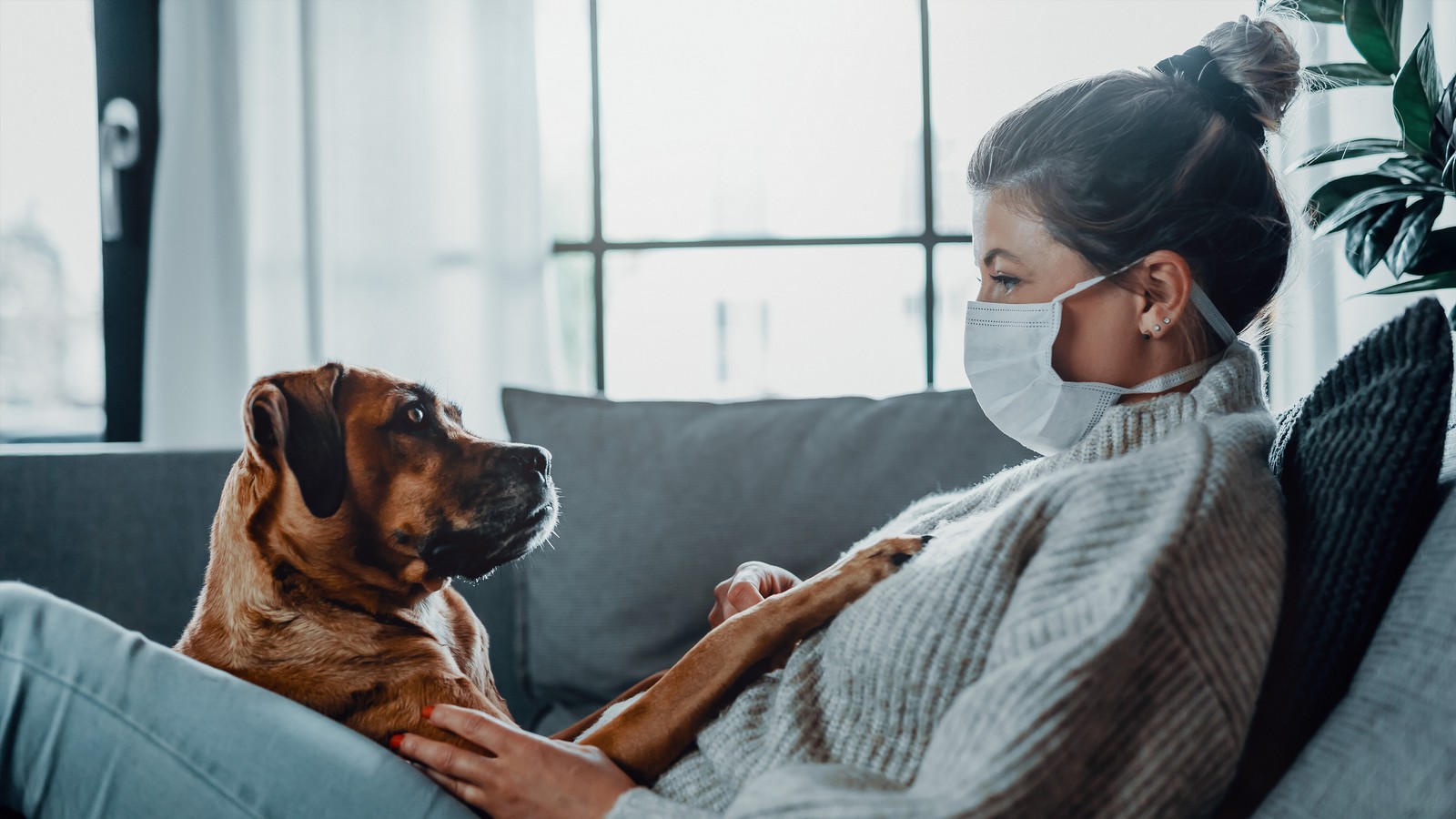 Was ist während Quarantäne erlaubt?