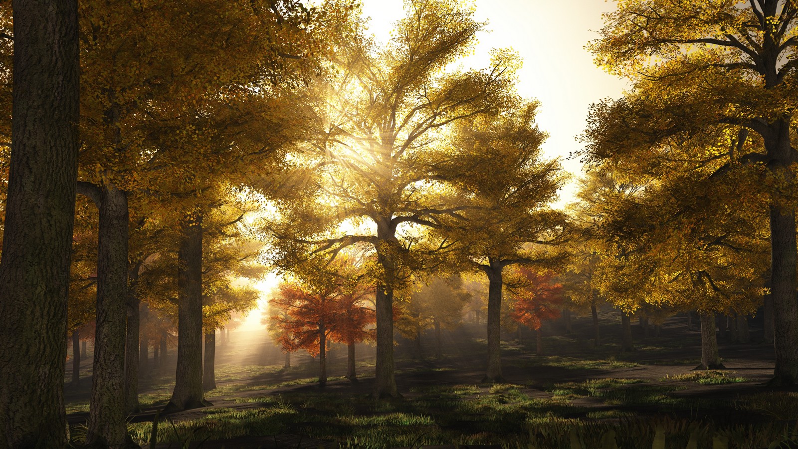 Wetter-Experte verrät: So wird der Herbst in Deutschland! 72 Herbst