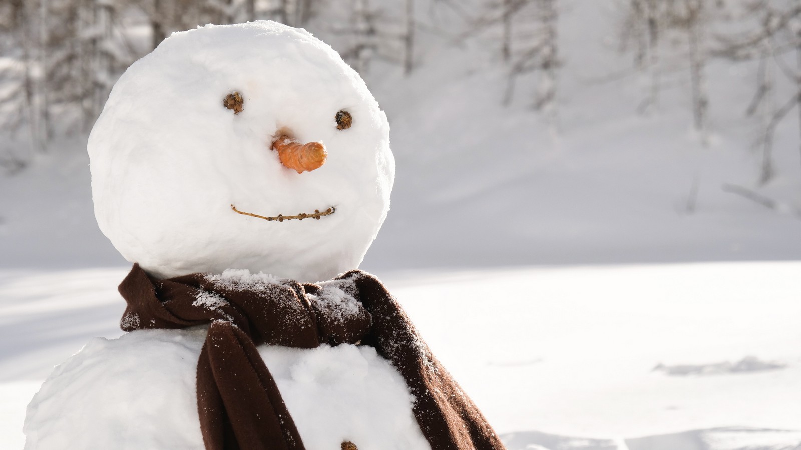 Schnee