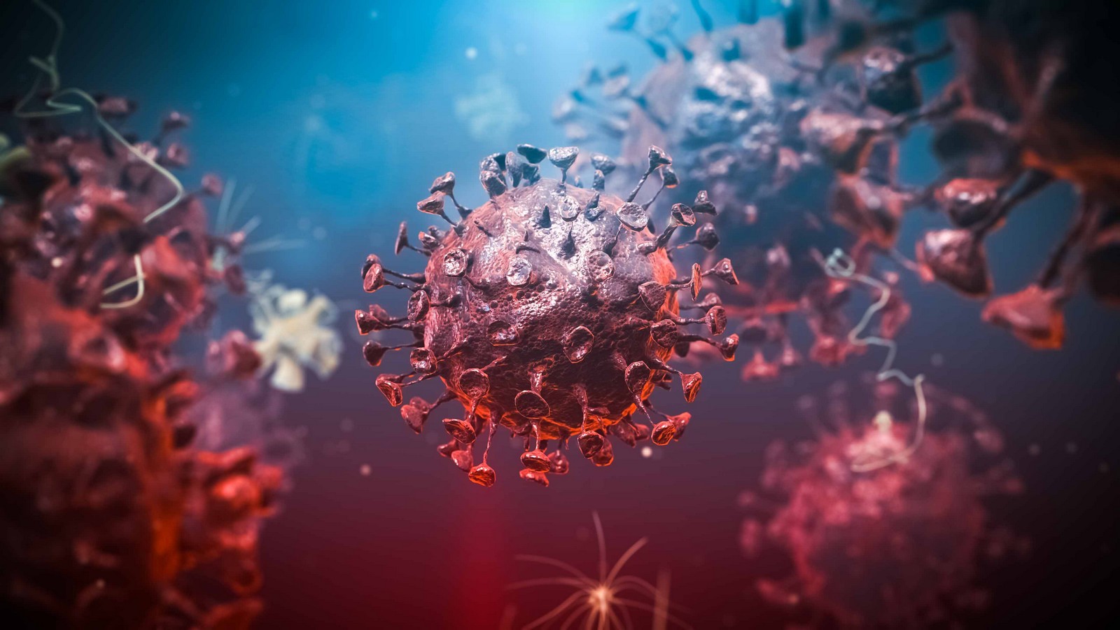 Coronavirus