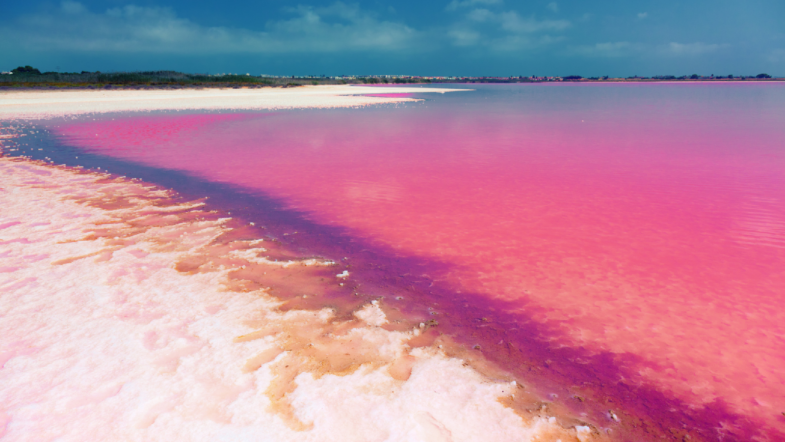Super selten: Diese Seen sind komplett pink! 72 Deshalb sind diese Seen pink