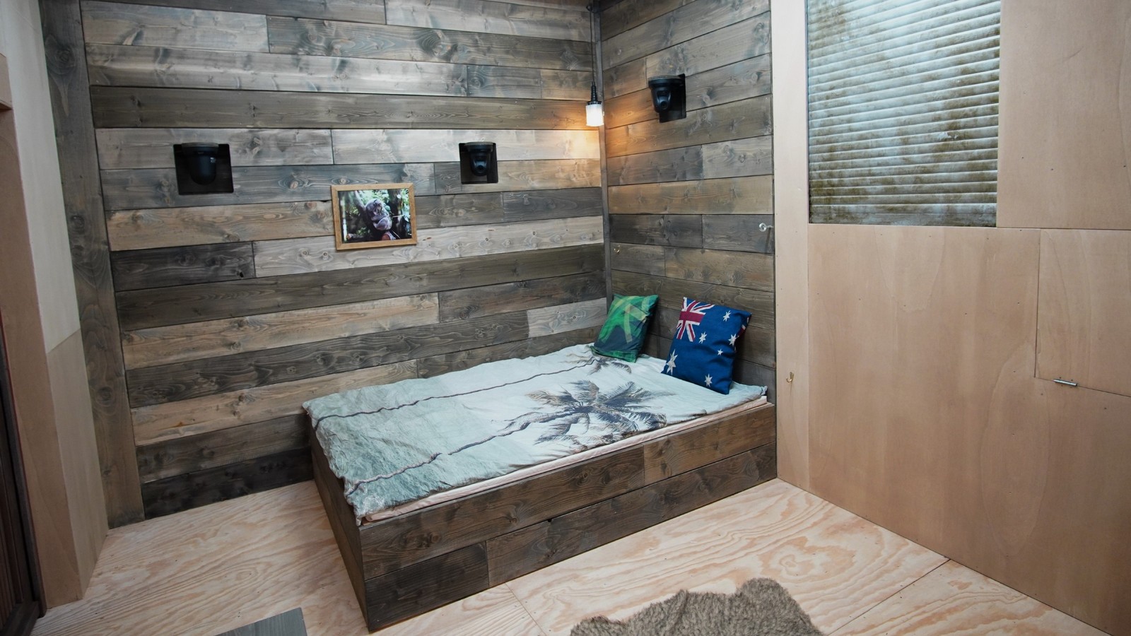 Dschungelshow 2021: In diesem Tiny House wohnen die Promis! 76 Das Tiny House in der Dschungelshow