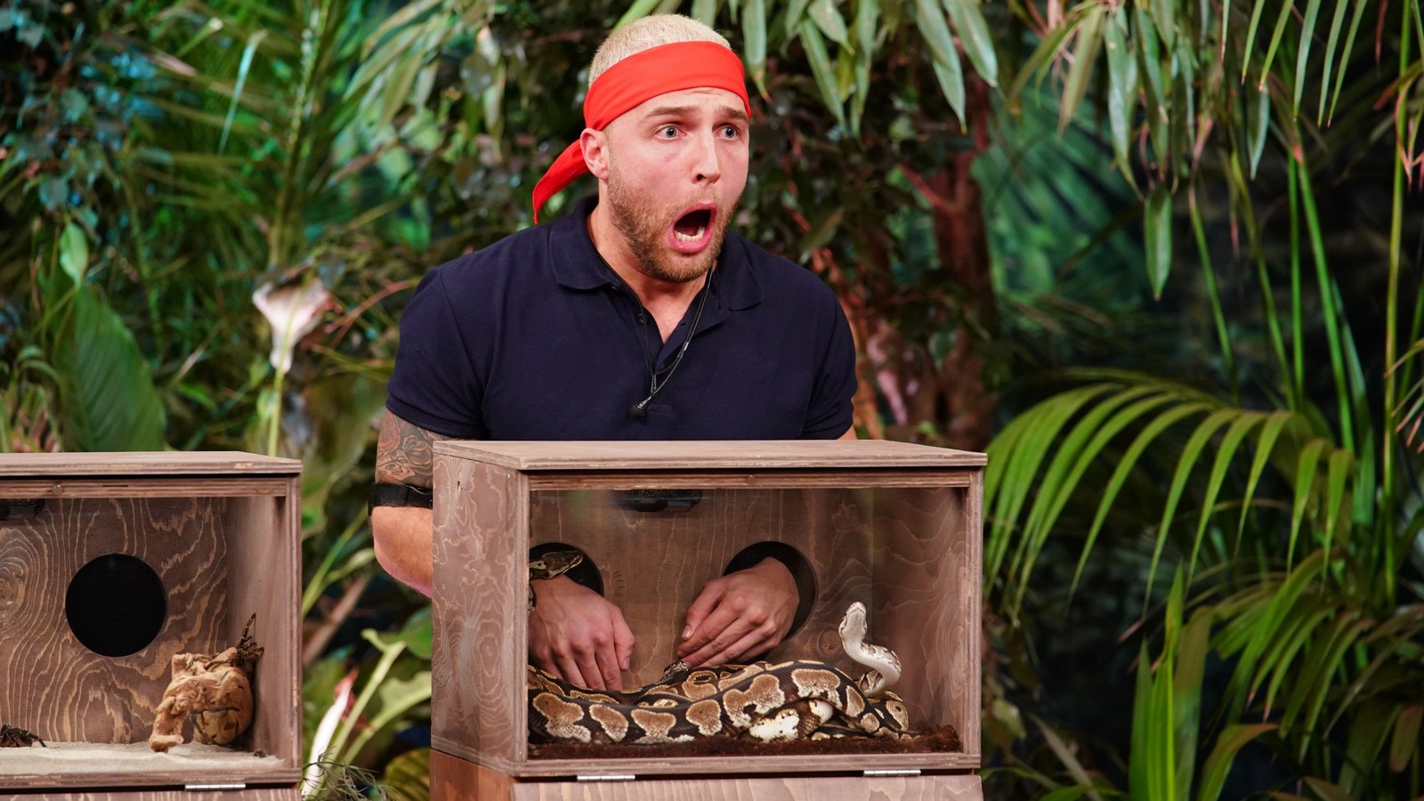 Dschungelshow 2021: Die vierte Gruppe zieht ins Tiny House! 72 Dschungelshow-Kandidat Filip Pavlovic