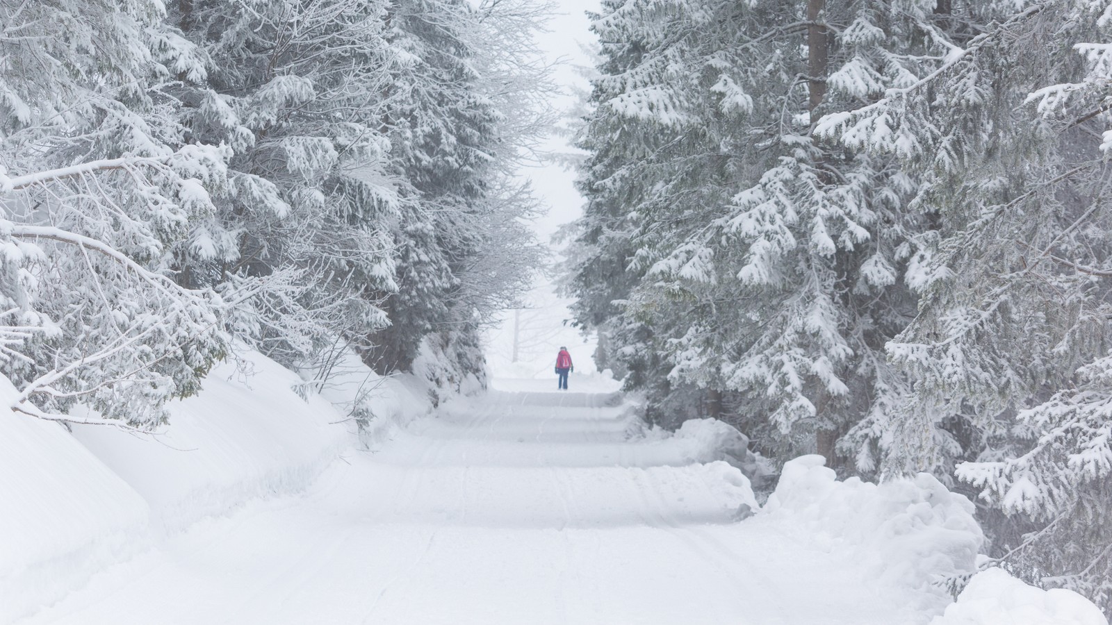 Stärkster Winter seit 1978? So viel Schnee fällt am Wochenende! 72 Schnee