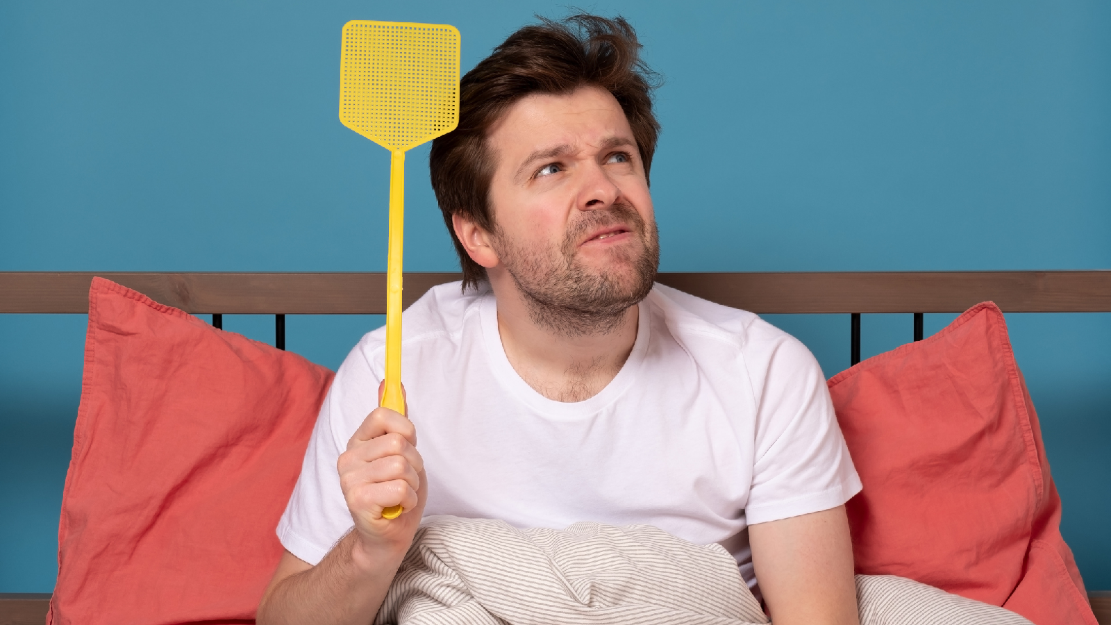 Mit diesen 5 Tipps hast du nie wieder Mücken im Zimmer 72 So bekommst du Mücken aus deiner Wohnung verbannt