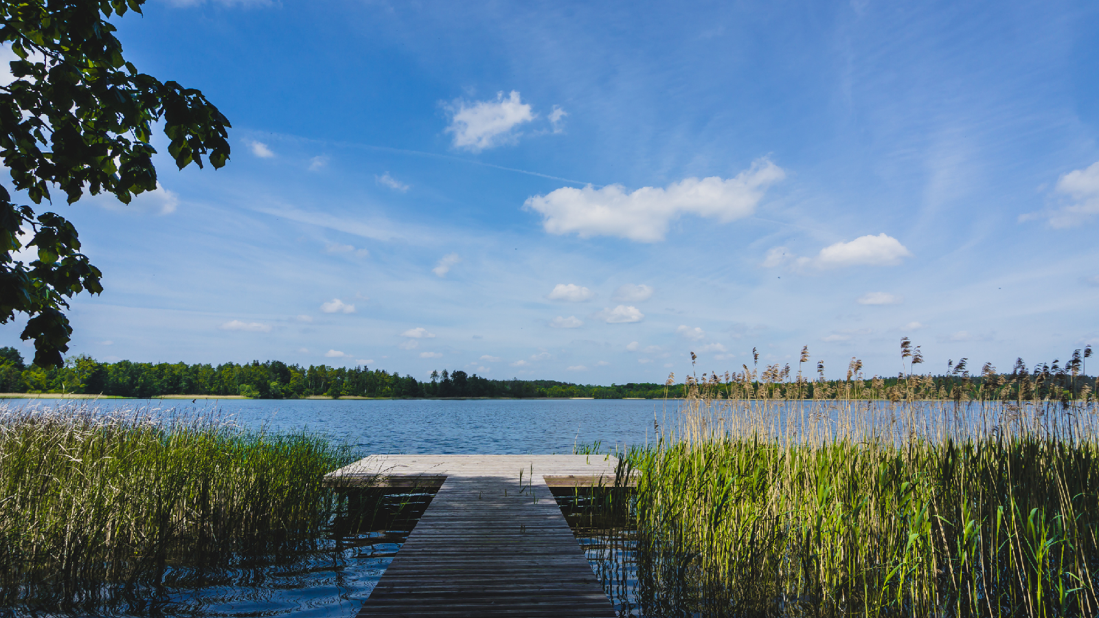 Im See oder Fluss baden: Darauf solltest du achten! 72 Darauf musst du beim Baden achten