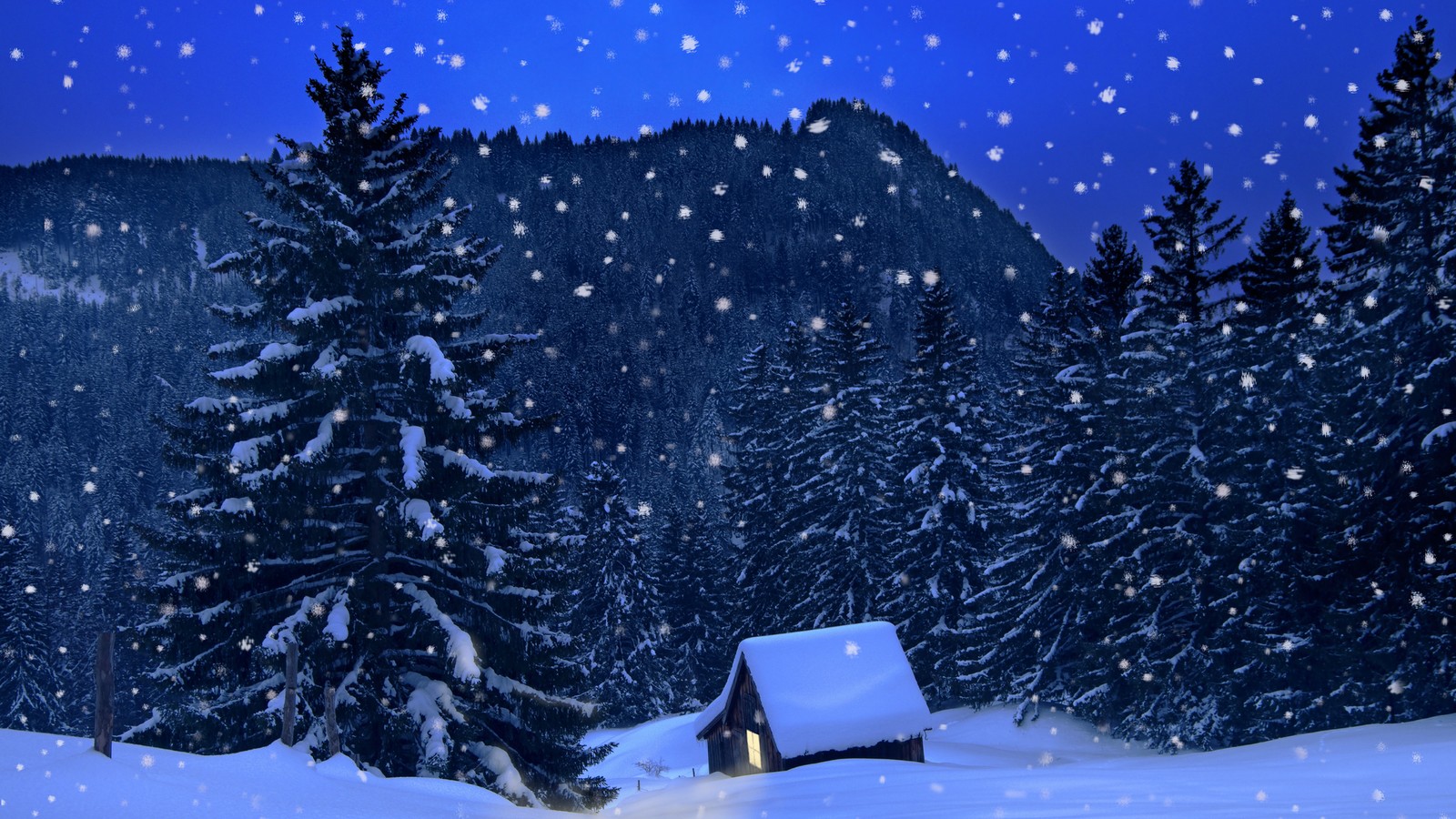 Weiße Weihnachten