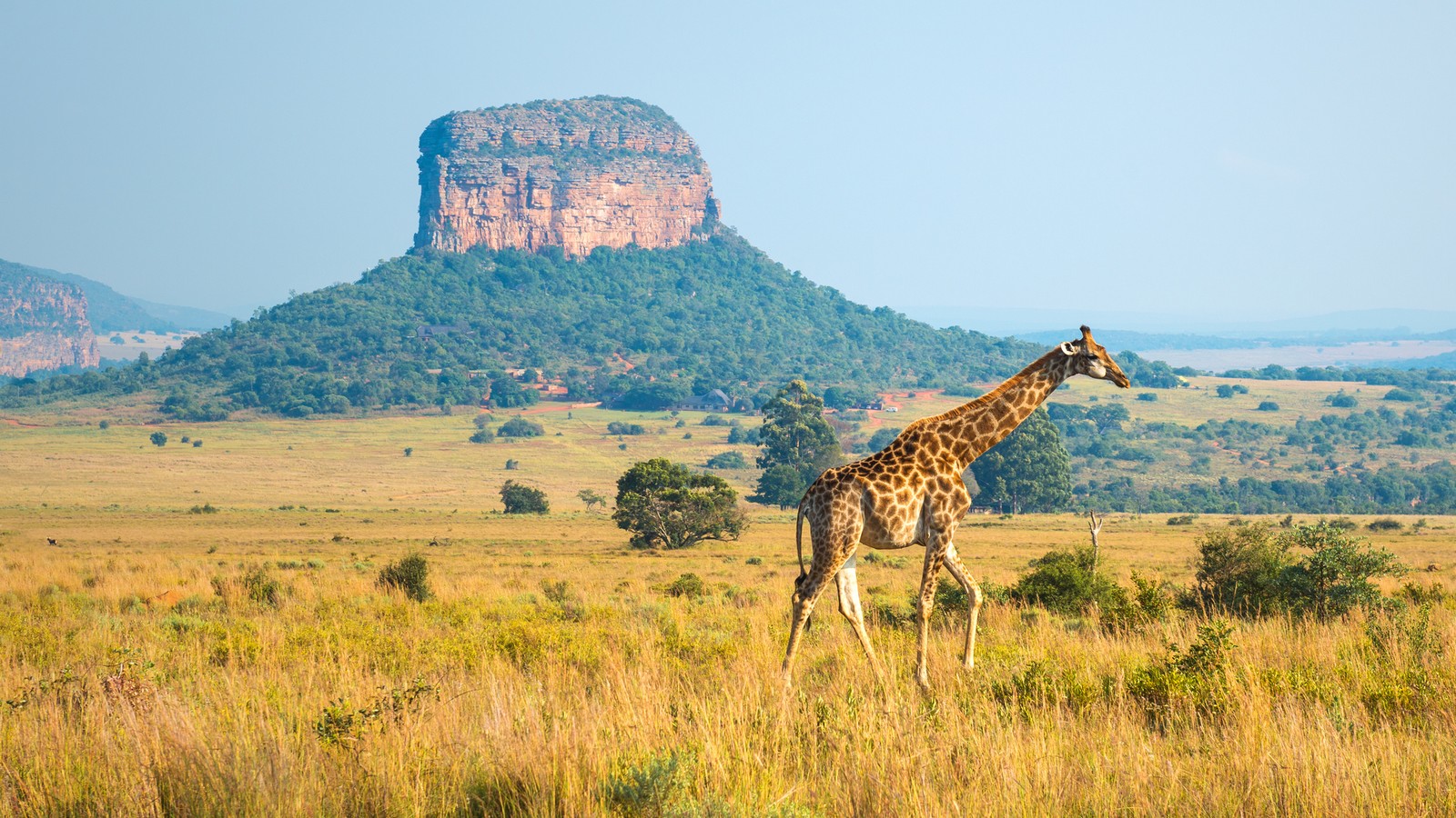 Dschungelcamp 2022: Hier ist der Drehort 72 Südafrika