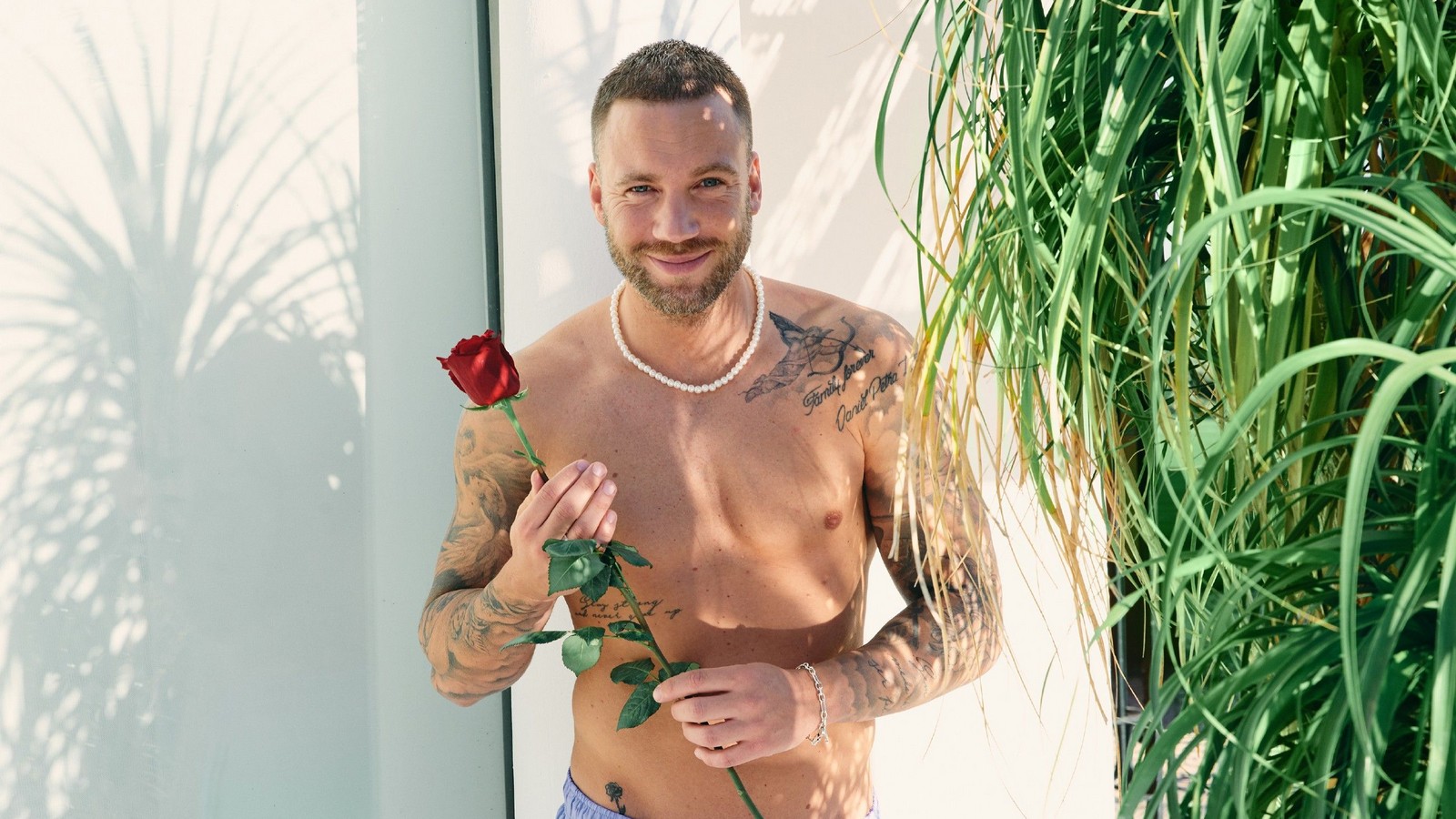 Bachelor in Paradise 2022: Das sind die Kandidaten 81 "Bachelor in Paradise"-Kandidat Tom