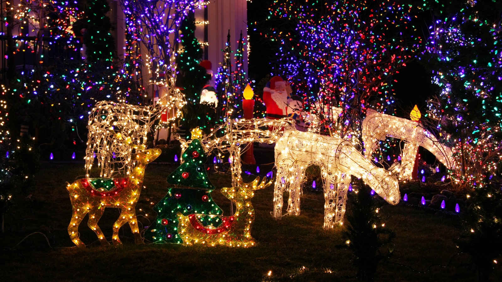 Weihnachtsmärkte 2022: Das sind alle Termine! 78 Christmas Garden