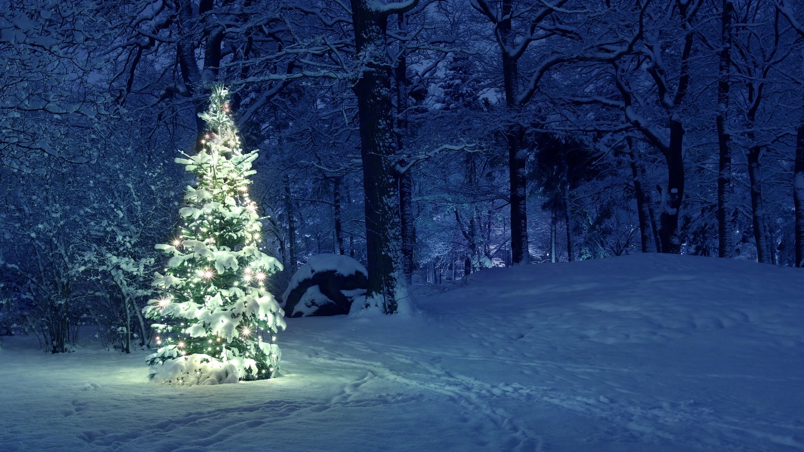 Weiße Weihnachten