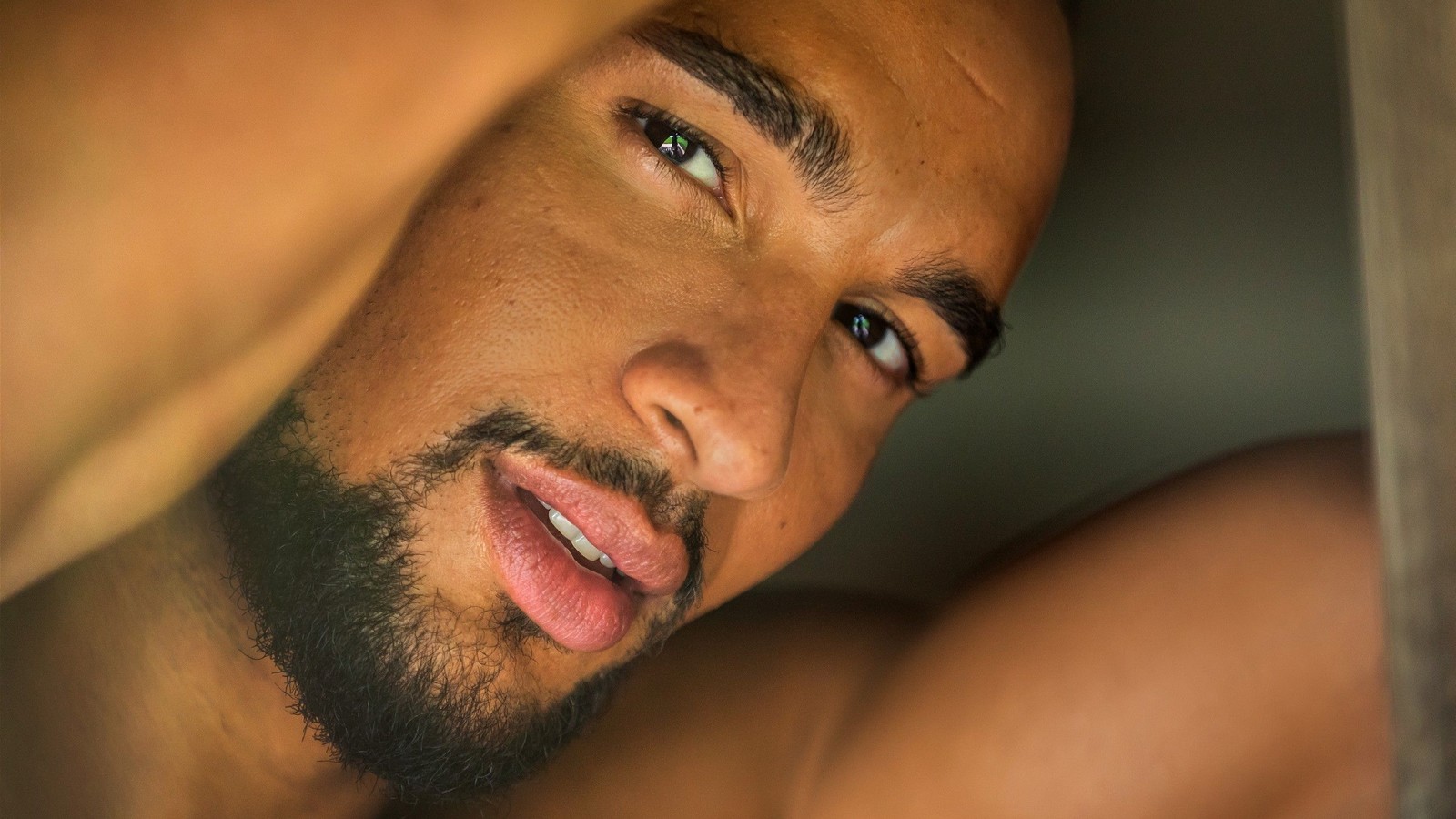 Bachelor David Jackson