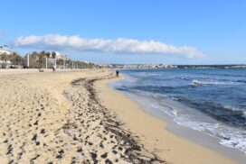 Brutale Tat auf Mallorca: Deutscher Urlauber am Ballermann niedergestochen