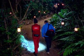 Kandidatin von Tier gestochen: Notarzt-Einsatz im Dschungelcamp!