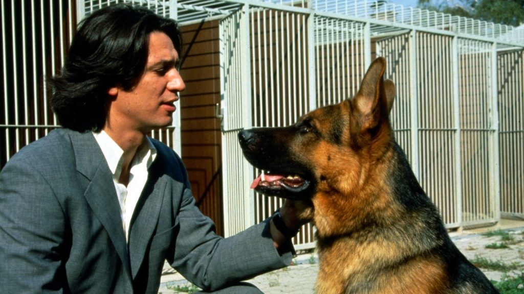 "Kommissar Rex": Wie viele Schäferhunde spielten die Rolle? 72 "Kommissar Rex"