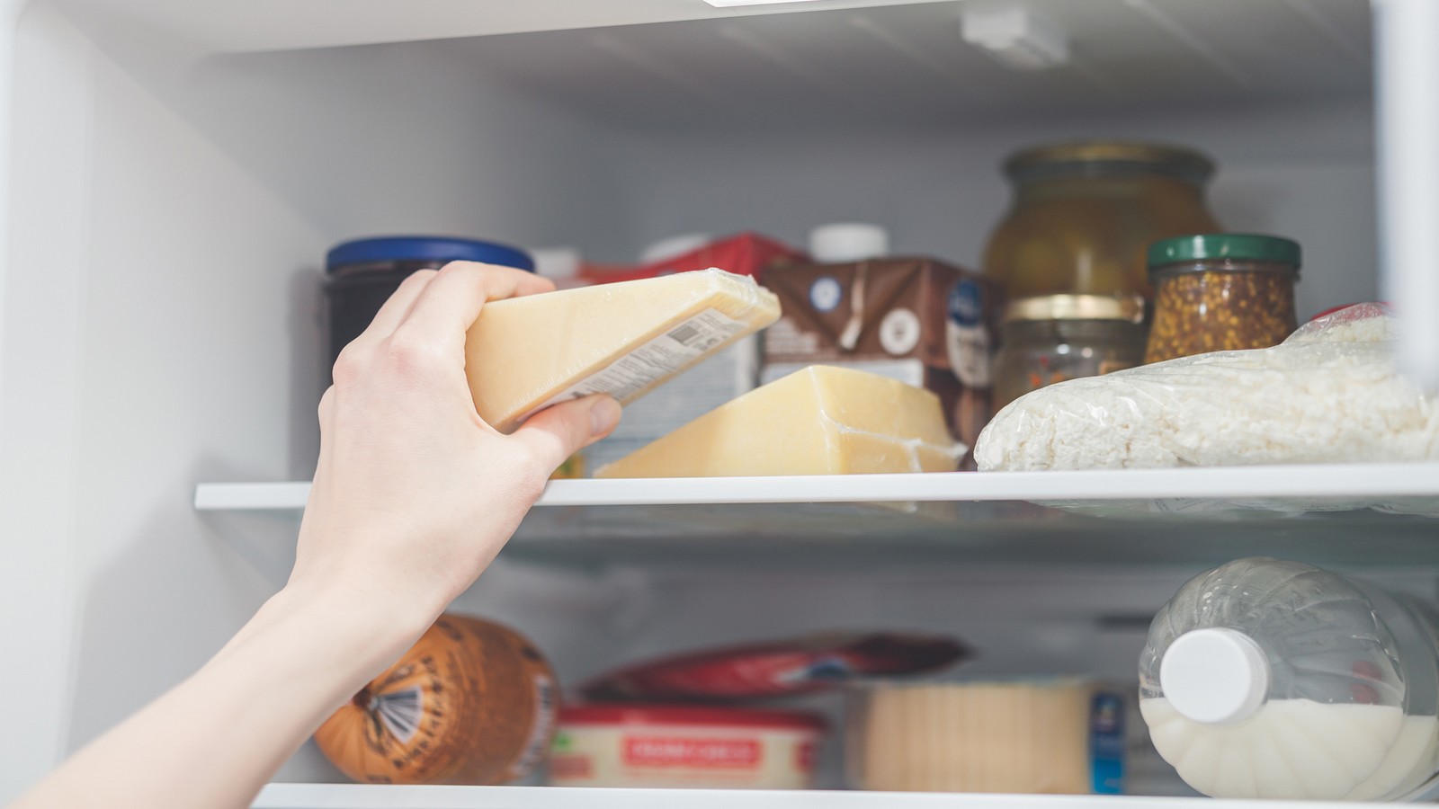 Käse schimmelt schnell im Kühlschrank? Mit diesem Trick bleiben Gouda, Parmesan & Co. länger haltbar 56 Käse im Kühlschrank