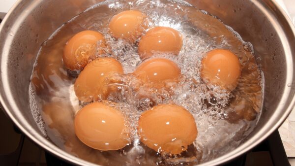 Eier kochen