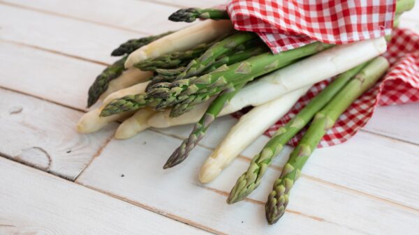 Spargel