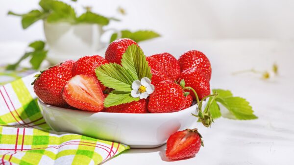 Erdbeeren
