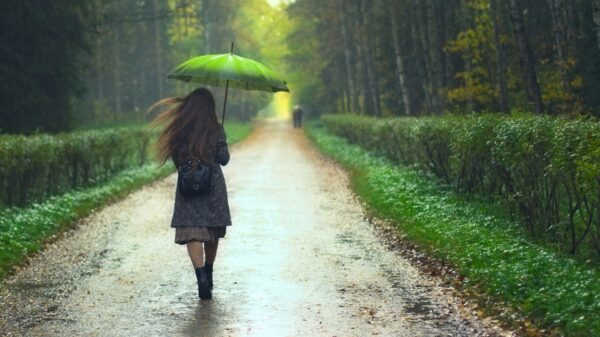 Regenschirm