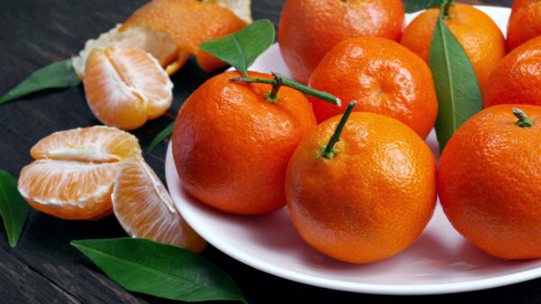 Mandarine