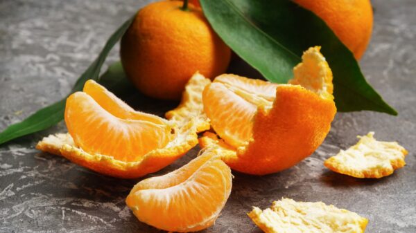 Mandarinen