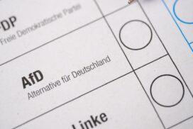 „Bauer sucht Frau“-Star will Bürgermeister werden - und zwar für die AfD! 71 „Bauer sucht Frau“-Star will Bürgermeister werden – und zwar für die AfD!
