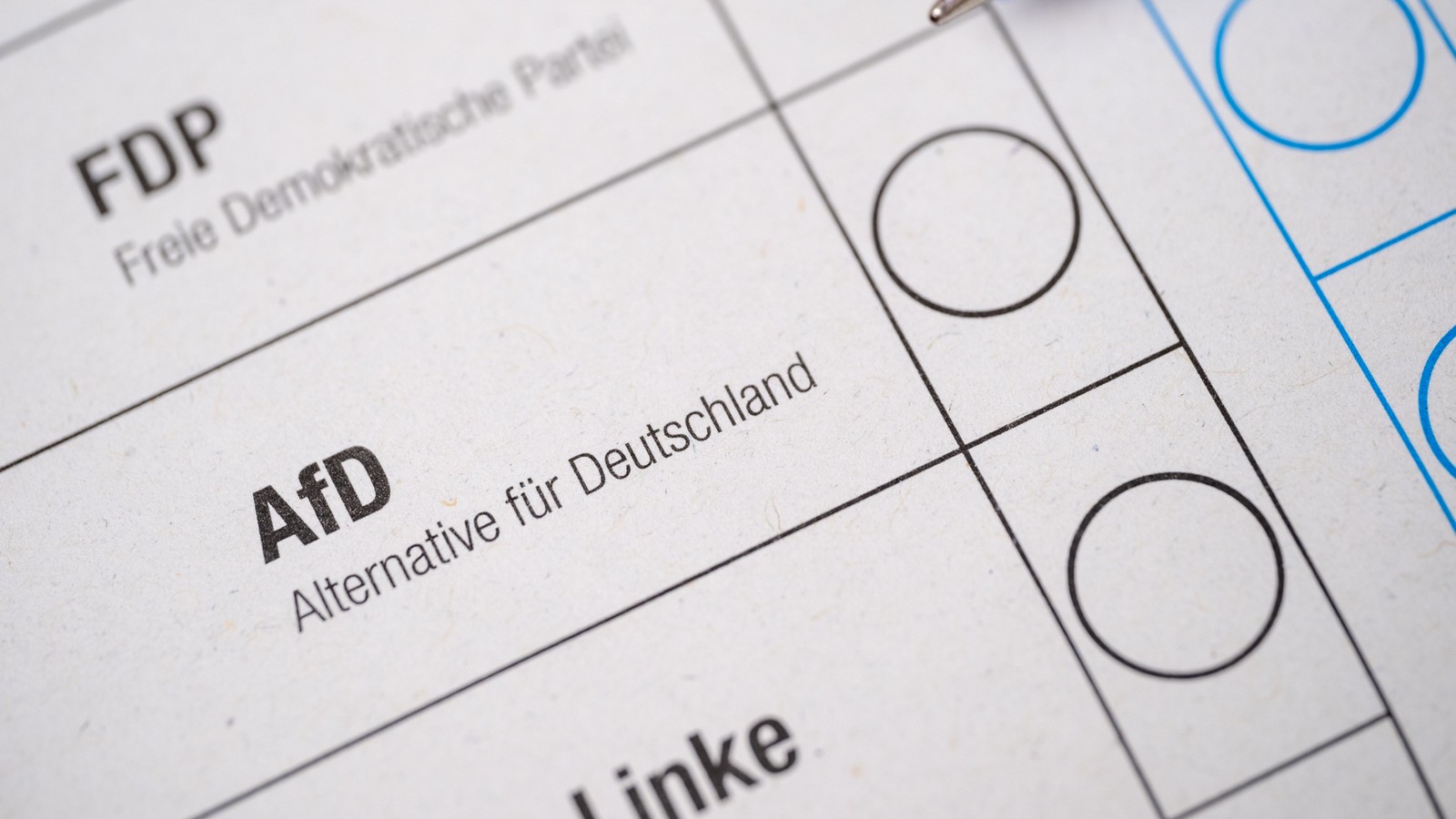 „Bauer sucht Frau“-Star will Bürgermeister werden - und zwar für die AfD! 61 Wahlzettel