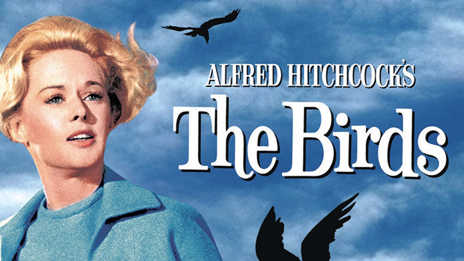 Heute im TV: Tippi Hedren wurde bei den Dreharbeiten für "Die Vögel" mit lebendigen Tieren beworfen 61 "Die Vögel"